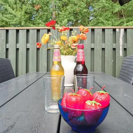 Gail - 200m From The Sea By Interhome Tatil Evi Neksø